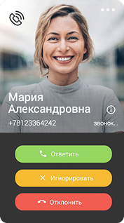 Телефония для бизнеса изображение 9