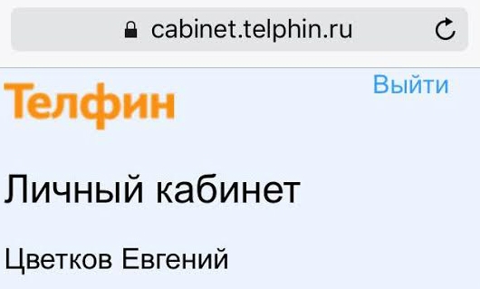 Телфин запустил мобильную версию личного кабинета изображение 1