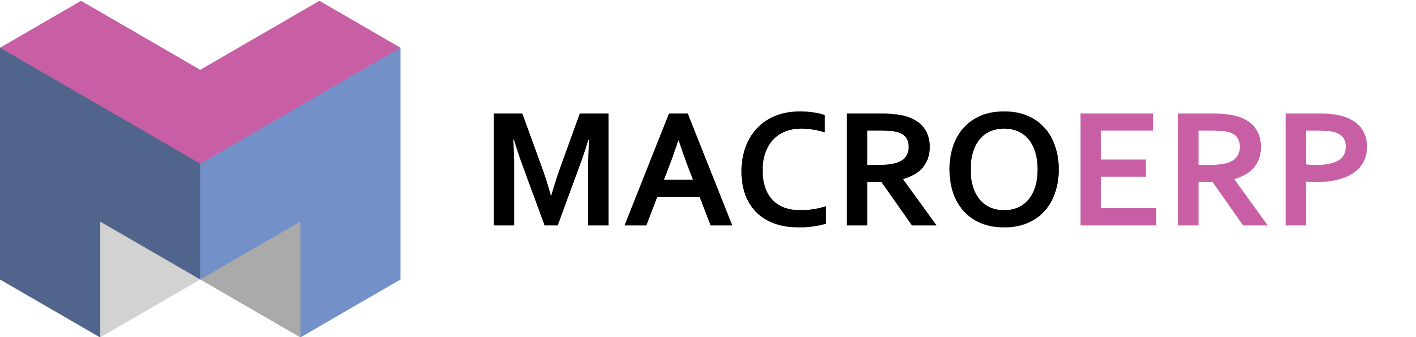 Логотип компании MacroERP