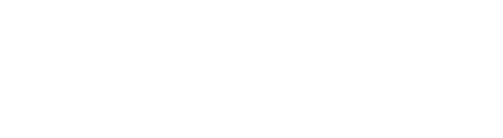 Логотип компании Aналитикум